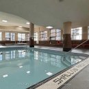 룸메 구함: College-bay (college station) furnished den 즉시 입주 가능 이미지