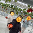 율하자연어린이집 이미지