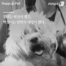 백설세탁소 이미지