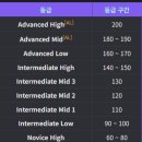 토익스피킹 레벨7 후기