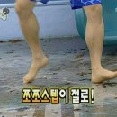 오울 이미지