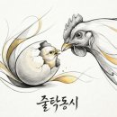 먹보네식당 이미지