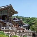 꽃피는소원