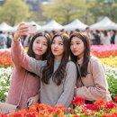 익스트림 퍼포먼스 플라잉(혁신교육) | 🎢 에버랜드 놀이기구 종류 총정리: 모험부터 힐링까지 완벽 가이드