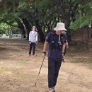 노르딕워킹 이미지