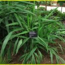 파라다이스 이미지