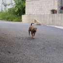 소망건강원 이미지