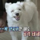 서울막창 이미지