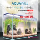 4358 | 단기4358(2025)년9월넷째주. 아쿠아윌 무환수어항 천연수조 소식