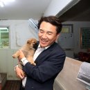 스킨앤이어동물병원 이미지