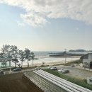 JP하우스 | 대천펜션 키즈풀빌라 "JP하우스" 바다조망이 너무 좋았던곳!