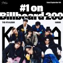 스트레이 키즈 카카오 검색결과