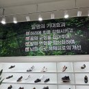 제이지피 이미지