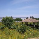 미란농장 이미지