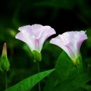 컷트의집 이미지