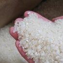 경기미쌀마트 | 당일도정 맛있는 쌀 추천 경기미 귀한밥상 10Kg