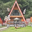 도그라운드 | 가평 애견펜션 무아레 도그라운드 인피니티풀 신축 독채 펜션