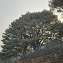 만지송 연합뉴스