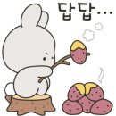 키친스토리 이미지