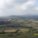 제주서초등학교 이미지