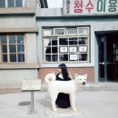 청수이용원 - 연제구 거제천로230번길 5 | 청수이용원