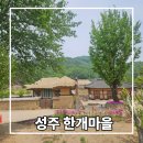 개들의 집 | 성주 가볼만한곳 한개마을 주차장 입장료 소요시간 후기