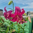 퍼팩션 - 용인시 수지구 수지로 497 | 퍼팩션