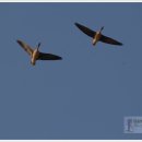 사진촬영강좌 이미지