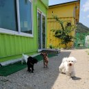 놀다가개유치원 이미지