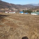 충북 제천시 백운면 소재 밭 매매 / 주인직거래 이미지