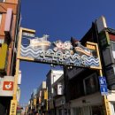 마카오박 | 속초 여행 필수 코스! 겉바속촉 인생 에그타르트 '마카오박' 예약 성공 후기