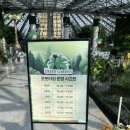 여미지식물원 | 여미지식물원 포켓몬 원더아일랜드인제주 후기