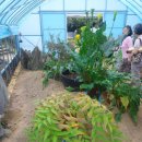 화원농장1 이미지