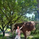 소연목장 이미지