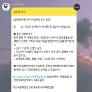 화이자 1차,2차 접종 후기 (접종 후 증상이 없으면 항체가?)