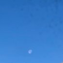 세븐일레븐 화원드림점 | 2025.01.17.~20. 대만