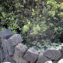 하모1리 이미지