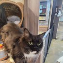 포포앤미루 강동점 이미지