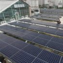 지성태양광발전소 이미지