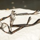 바이현안경원 이미지