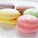 비비드마카롱 이미지