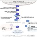 자경로 이미지