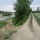 서늘기교 이미지