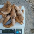 가지산천마영농조합 이미지