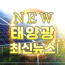 KB국민카드 세계 환경의 날 기념 태양광 랜턴 지원 태양광기사 이미지