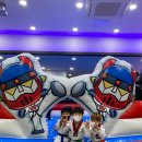 용인대 크는나무 태권도장 이미지