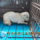 현문로
