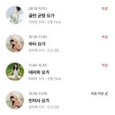 직장인요가 1 이미지