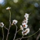 금호동 장미아파트 이미지