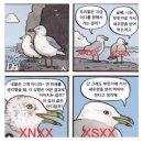 사회생활 말하기 수업 아나운서 한석준 강연 후기